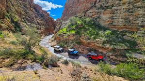 Jeeps in Arizona